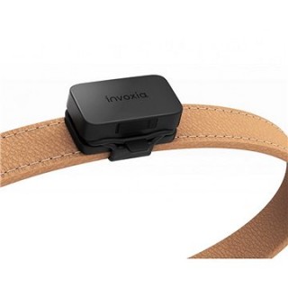 Invoxia GPS Pet Tracker