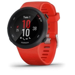 Garmin Forerunner 45 Lava Red