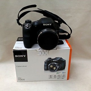 SONY DSC-H300