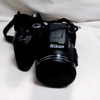 NIKON B500