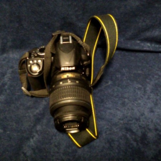 NIKON D3100