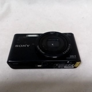 SONY DSC-WX220