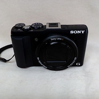 SONY DSC-HX60