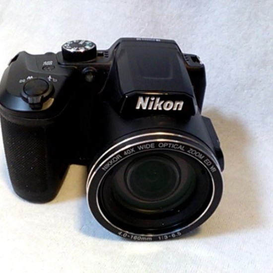 NIKON B500