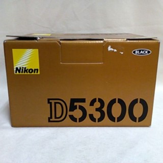 NIKON D5300