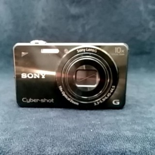 SONY DSC-WX220