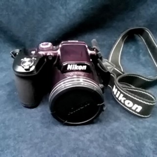 NIKON B500