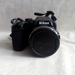 NIKON B500