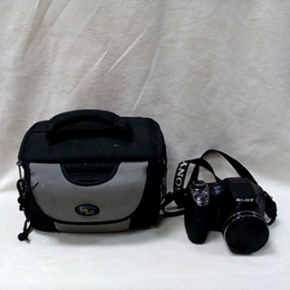 SONY DSC-H300